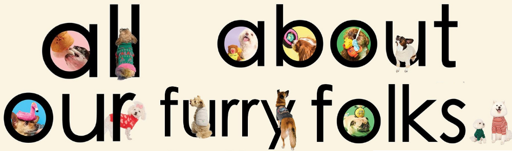 All about- Tailsetter