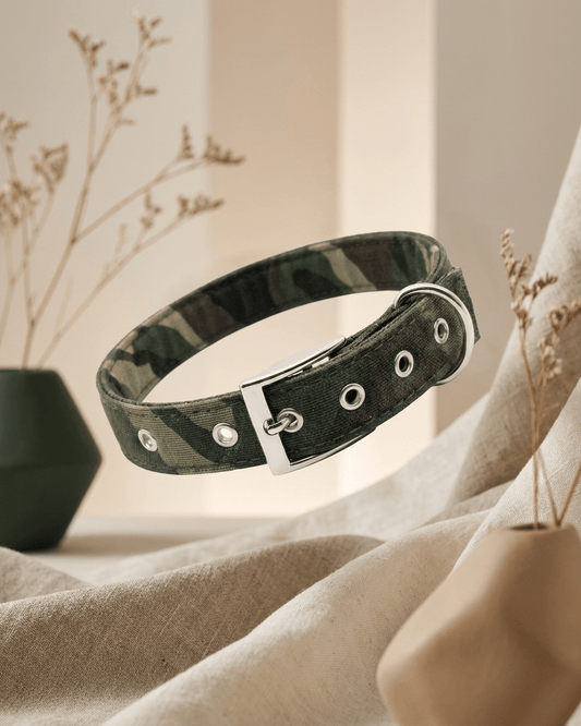 Camouflage Dog Collar | Heavy - Duty Nylon Camo Collar with Metal Buckle — TailSetter - Tailsetter