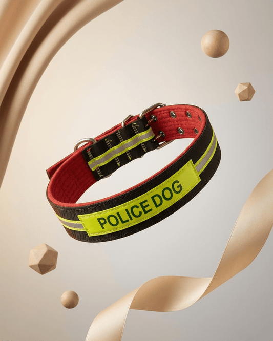 Tactical Dog Collar | Padded Heavy - Duty Collar with Reflective Strip & ID Patch — TailSetter - Tailsetter