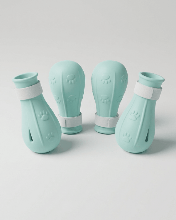 Tiptoe Paw Shoes