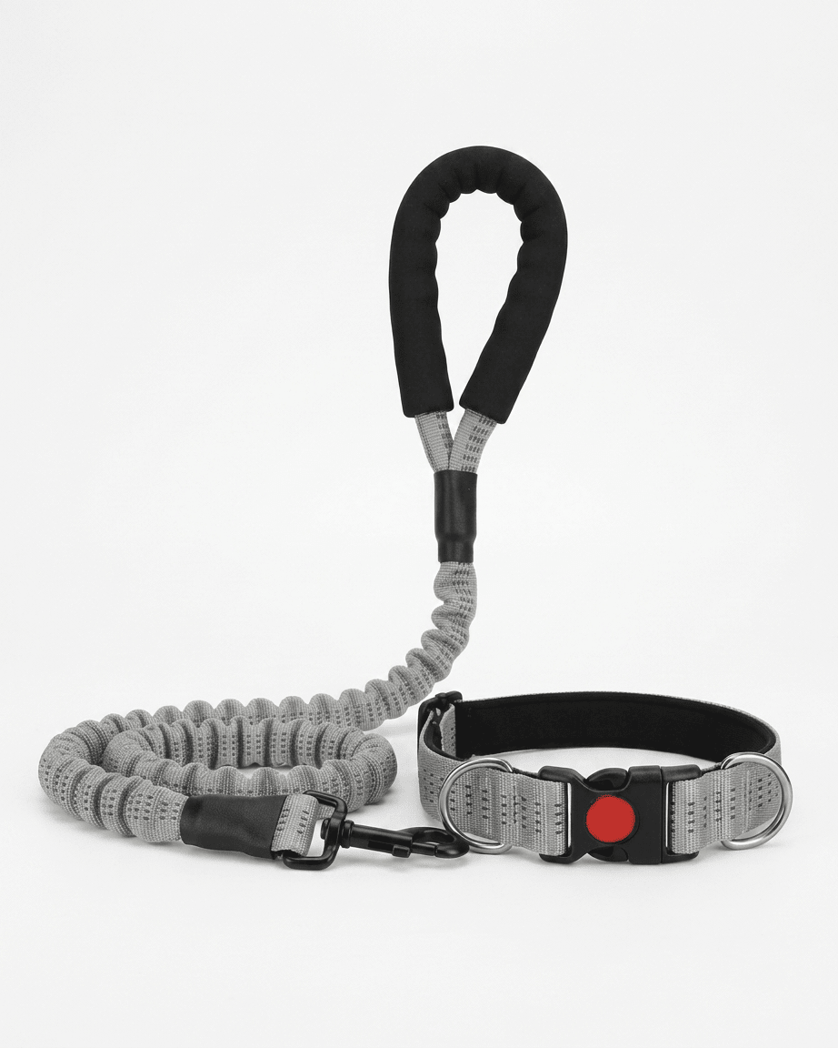 Comfort Padded Leash by TailSetter — grey leash with padded handle, full product shot