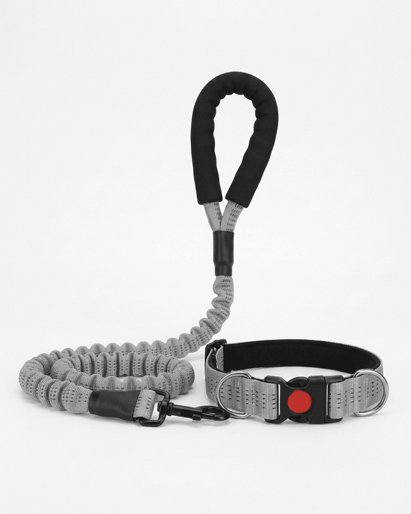 Comfort Padded Leash