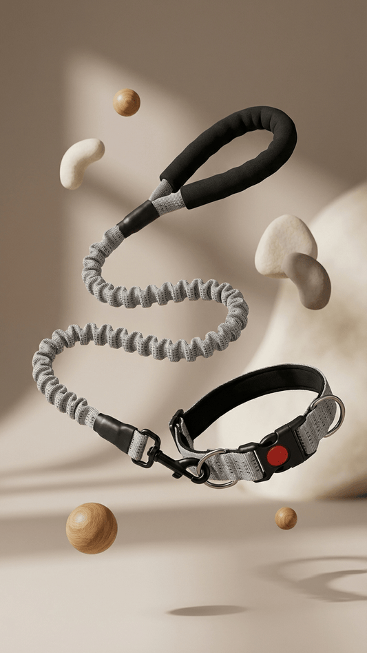 Dog Leash - Tailsetter