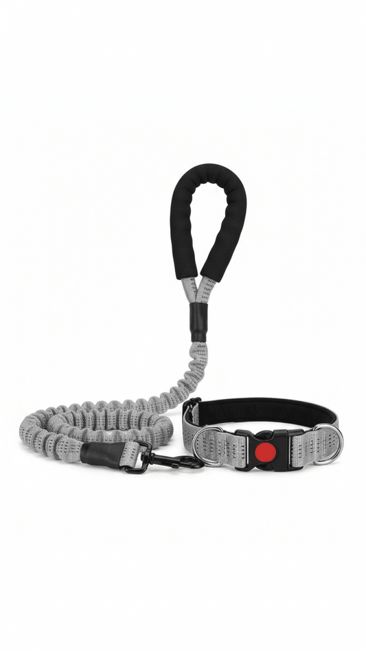 Dog Leash - Tailsetter