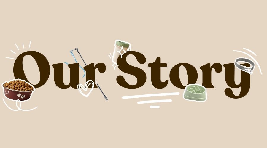 Tailsetter-Our-Story