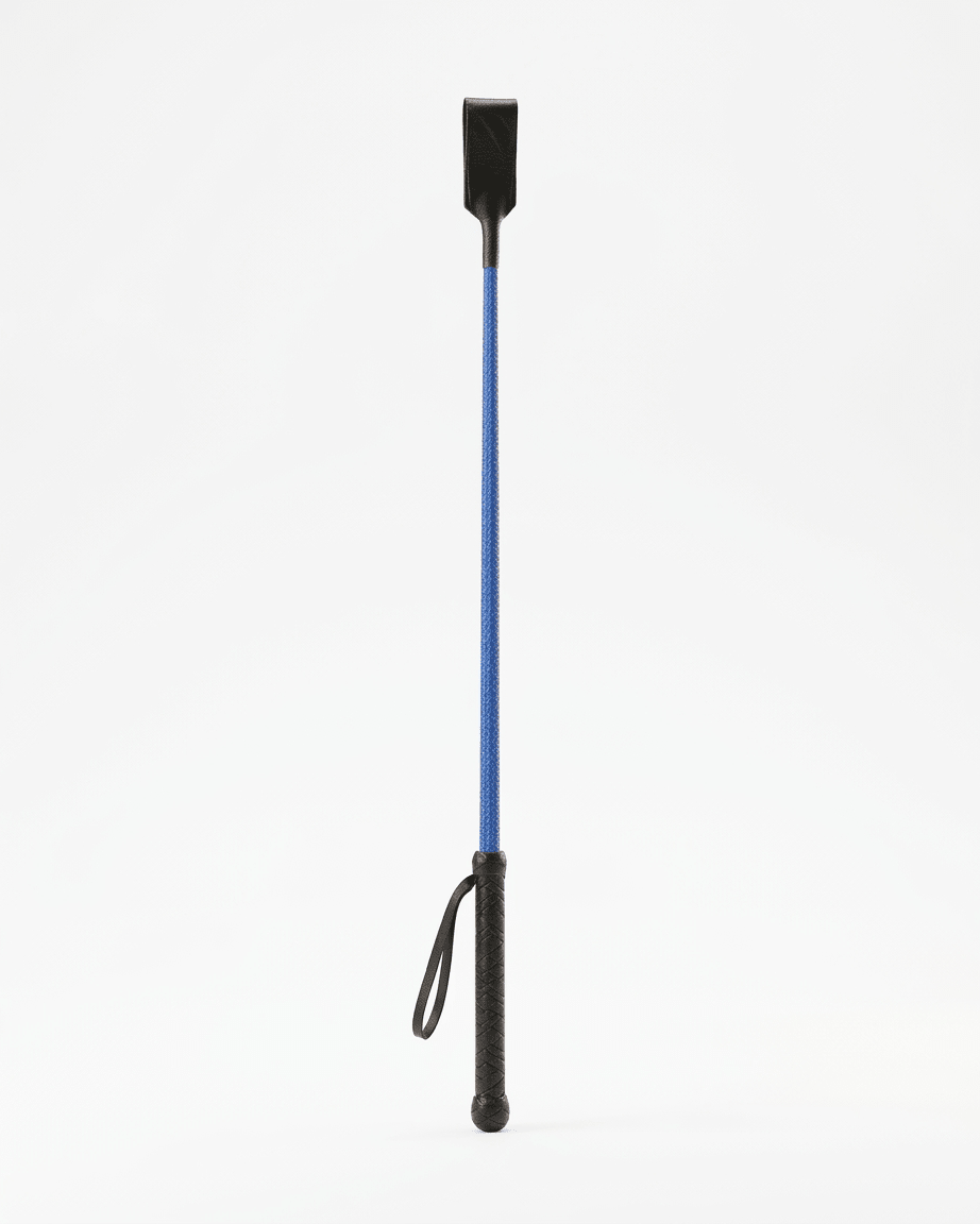 Chase Feather Stick by TailSetter — black handle with feather attachment, full product shot