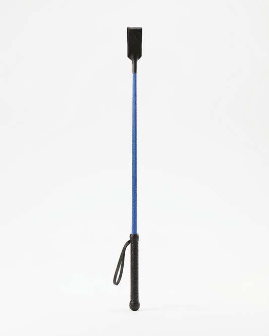 Chase Feather Stick by TailSetter — black handle with feather attachment, full product shot