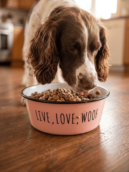 Live Love Woof Enamel Dog Bowl — Terracotta - Tailsetter