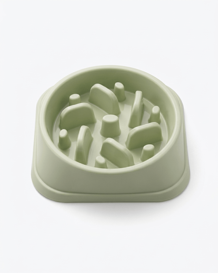 Mindful Slow Feeder - Tailsetter