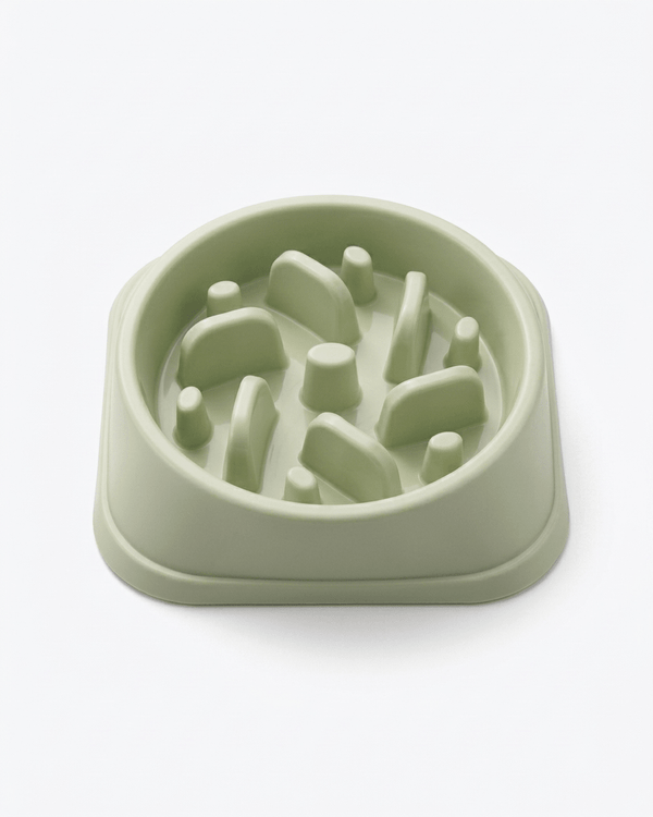 Mindful Slow Feeder Bowl