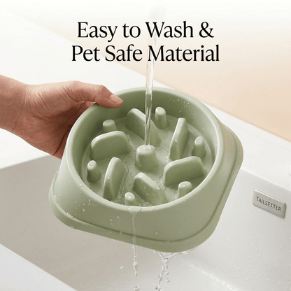 Slow Feeder Dog Bowl | Anti - Bloat Maze Bowl for Fast Eaters – Sage Green, BPA - Free - Tailsetter