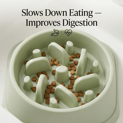 Slow Feeder Dog Bowl | Anti - Bloat Maze Bowl for Fast Eaters – Sage Green, BPA - Free - Tailsetter