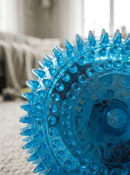 Squeaky LED Chew Toys for Pets - Tailsetter
