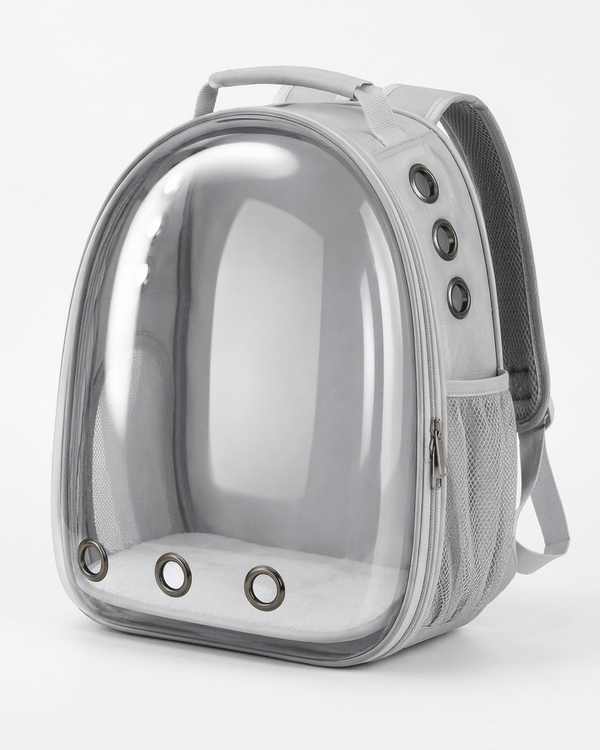 Clearview Bubble Backpack