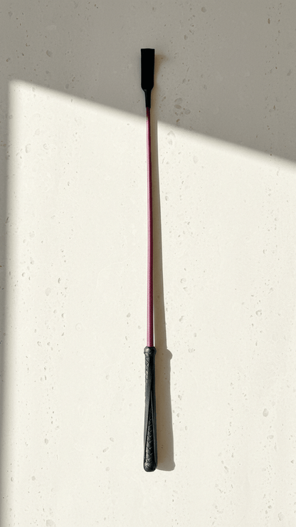 Pet Training Hunter Sticks - Tailsetter