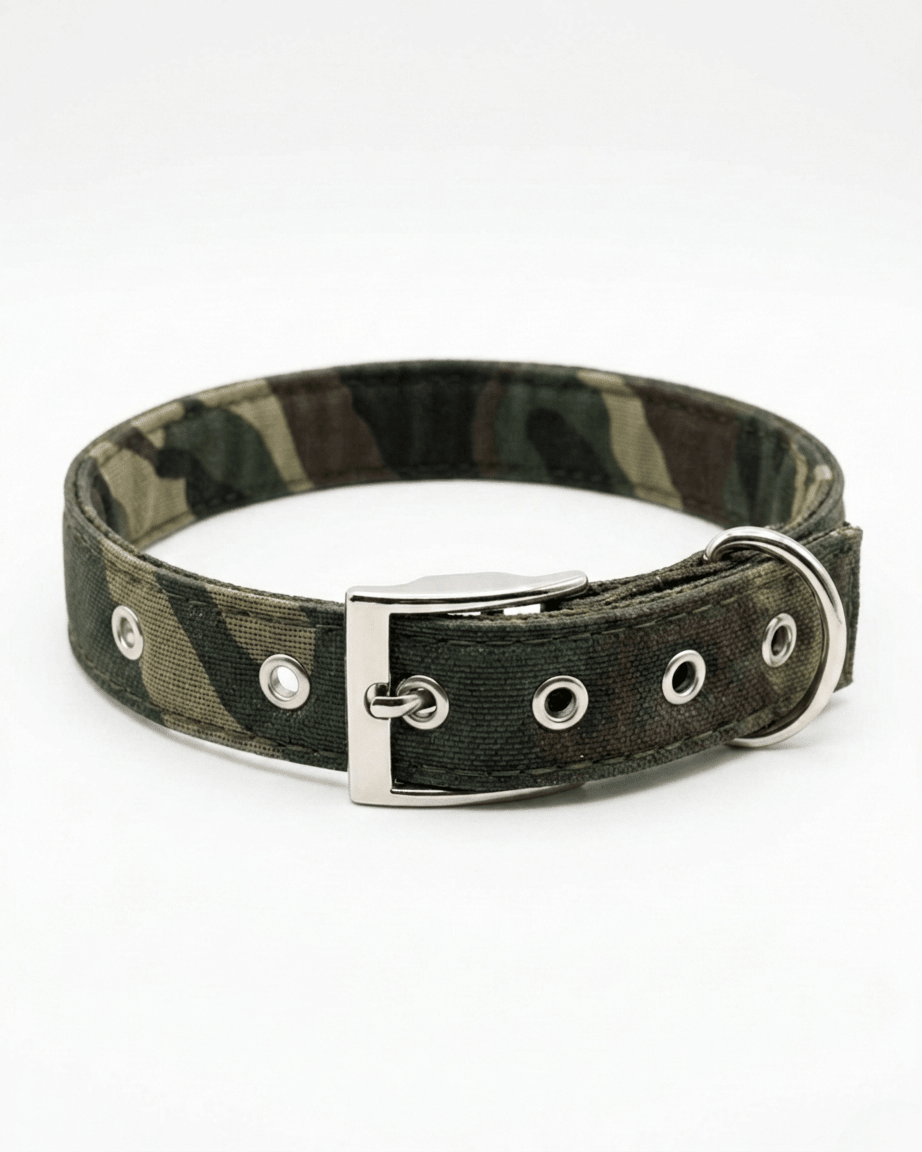 Camouflage Dog Collar | Heavy - Duty Nylon Camo Collar with Metal Buckle — TailSetter - Tailsetter