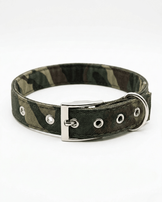Camouflage Dog Collar | Heavy - Duty Nylon Camo Collar with Metal Buckle — TailSetter - Tailsetter