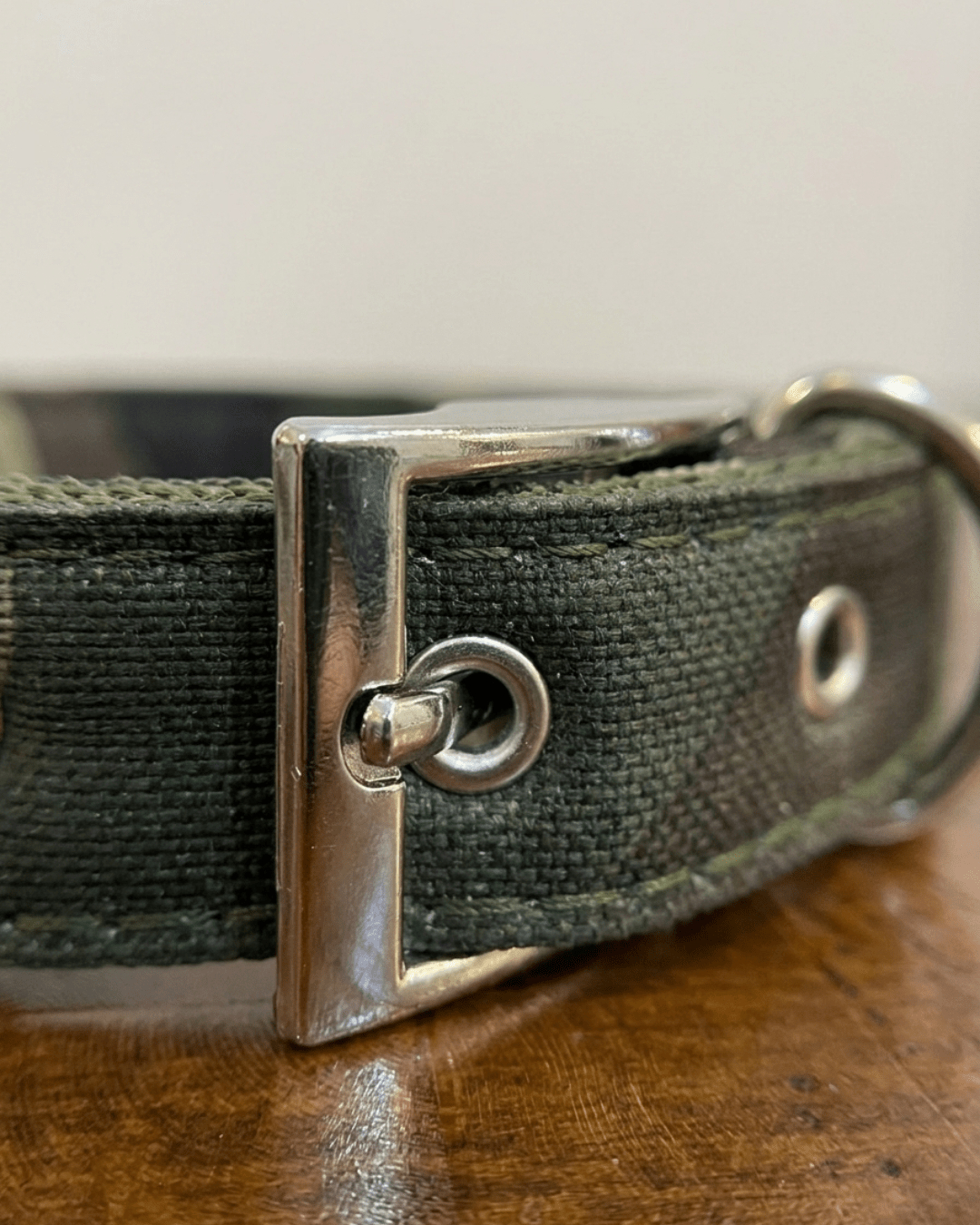 Camouflage Dog Collar | Heavy - Duty Nylon Camo Collar with Metal Buckle — TailSetter - Tailsetter