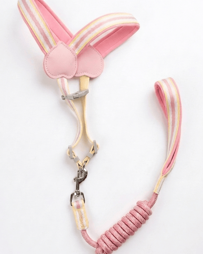 Cat Harness & Coiled Leash Set | Padded Figure - 8 Harness for Cats & Small Dogs — TailSetter - Tailsetter