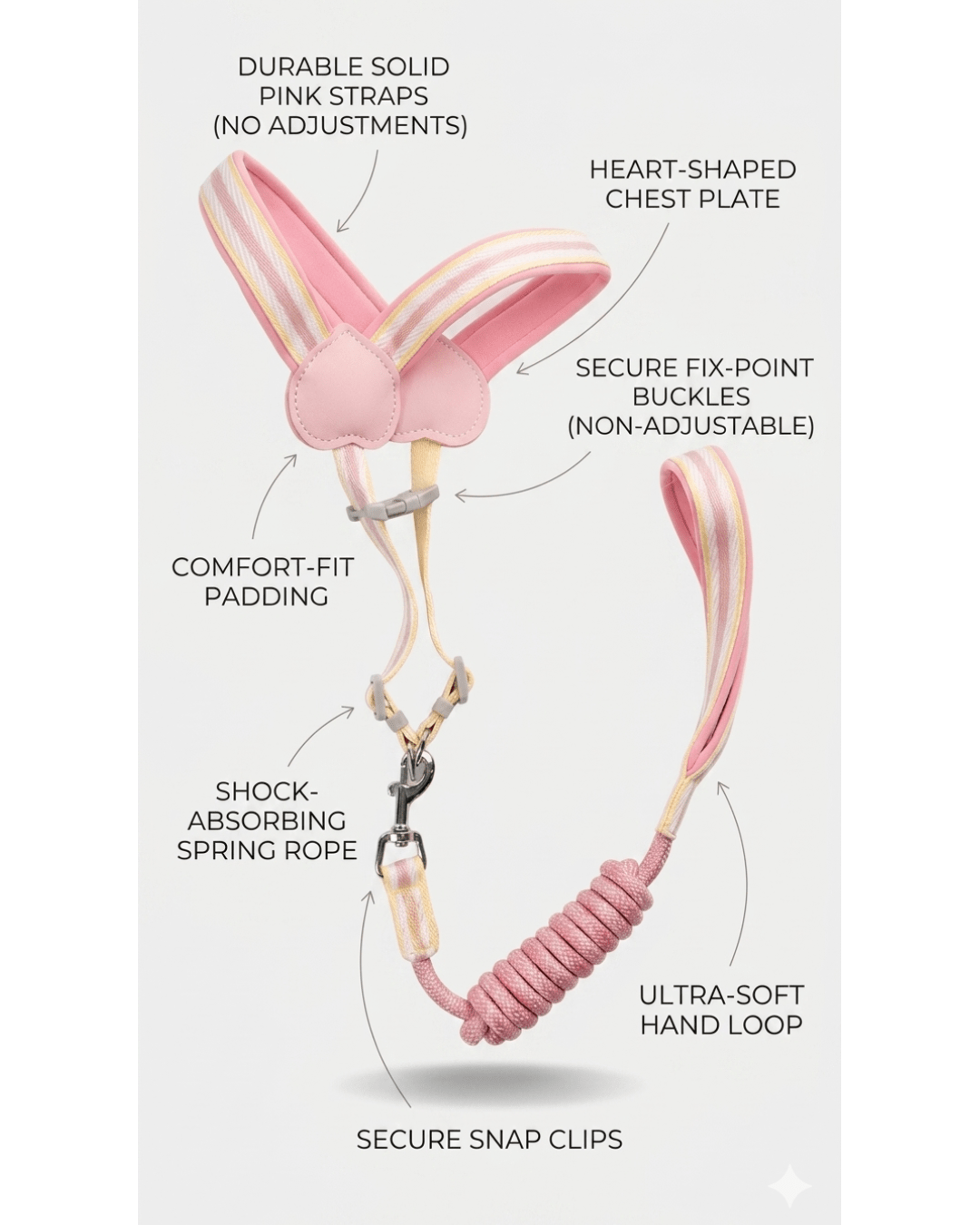 Cat Harness & Coiled Leash Set | Padded Figure - 8 Harness for Cats & Small Dogs — TailSetter - Tailsetter