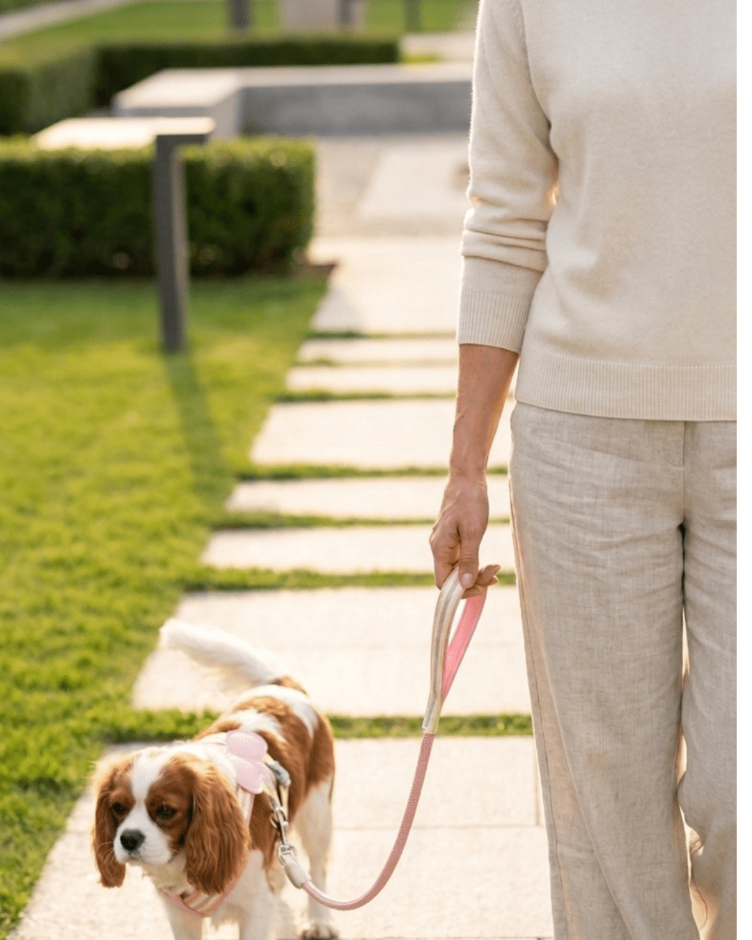 Cat Harness & Coiled Leash Set | Padded Figure - 8 Harness for Cats & Small Dogs — TailSetter - Tailsetter