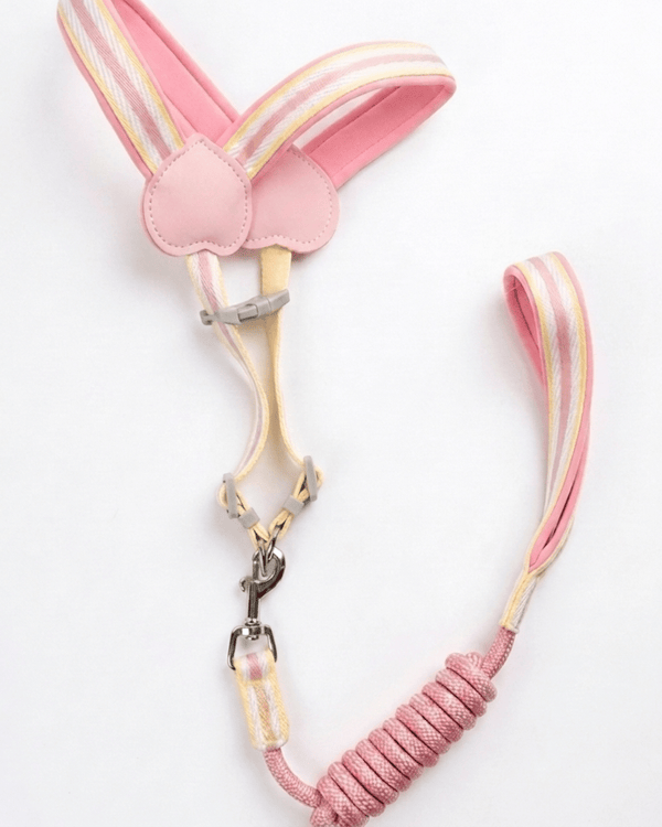 Stride Cat Harness Set