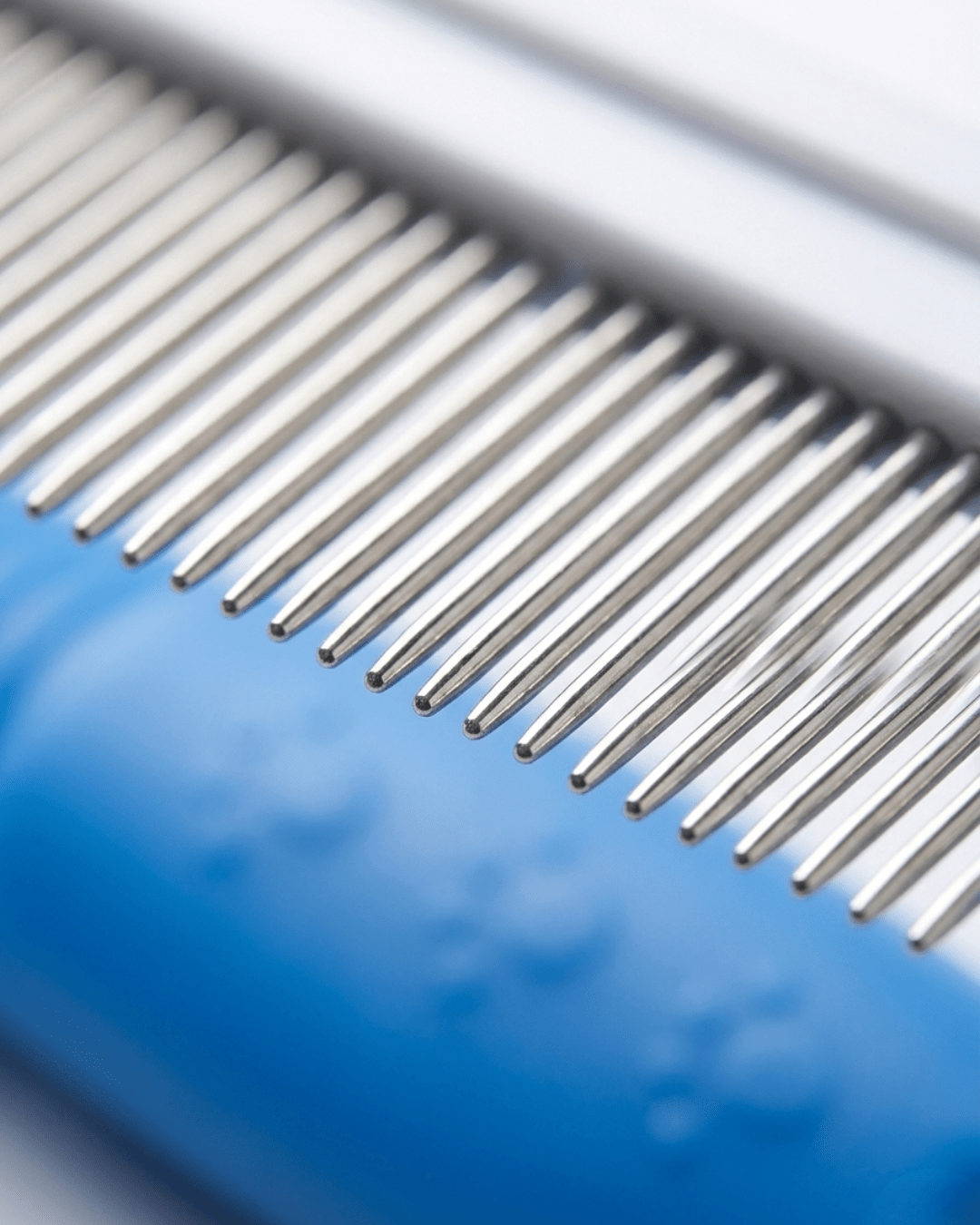 Fine - Tooth Pet Grooming Comb | Stainless Steel Flea & Dematting Comb for Dogs & Cats — TailSetter - Tailsetter