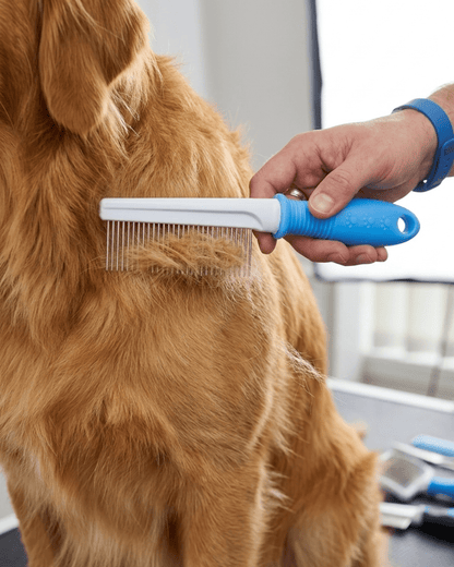 Fine - Tooth Pet Grooming Comb | Stainless Steel Flea & Dematting Comb for Dogs & Cats — TailSetter - Tailsetter