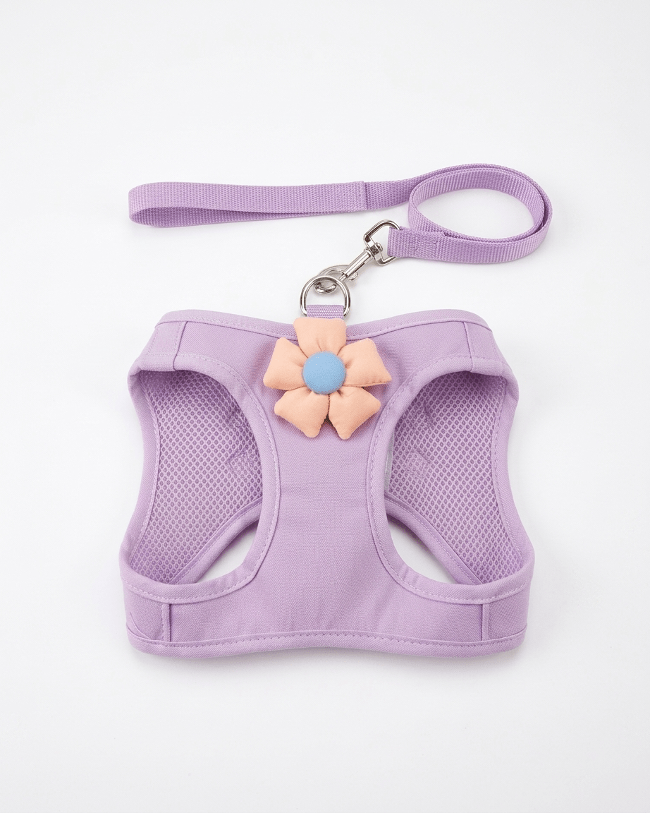Floral Mesh Dog Harness & Leash Set | Soft Vest Harness for Small Dogs & Cats — TailSetter - Tailsetter