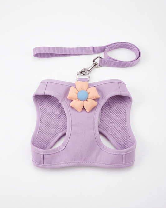 Floral Mesh Dog Harness & Leash Set | Soft Vest Harness for Small Dogs & Cats — TailSetter - Tailsetter