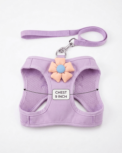 Floral Mesh Dog Harness & Leash Set | Soft Vest Harness for Small Dogs & Cats — TailSetter - Tailsetter