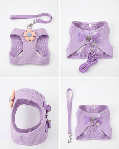 Floral Mesh Dog Harness & Leash Set | Soft Vest Harness for Small Dogs & Cats — TailSetter - Tailsetter