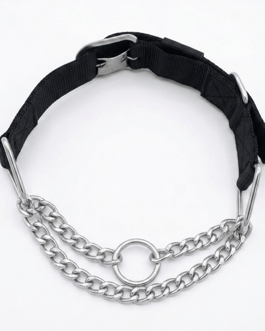 Martingale Dog Collar | Nylon & Chain Training Collar for Dogs — TailSetter - Tailsetter
