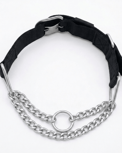 Martingale Dog Collar | Nylon & Chain Training Collar for Dogs — TailSetter - Tailsetter
