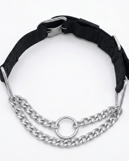Martingale Dog Collar | Nylon & Chain Training Collar for Dogs — TailSetter - Tailsetter