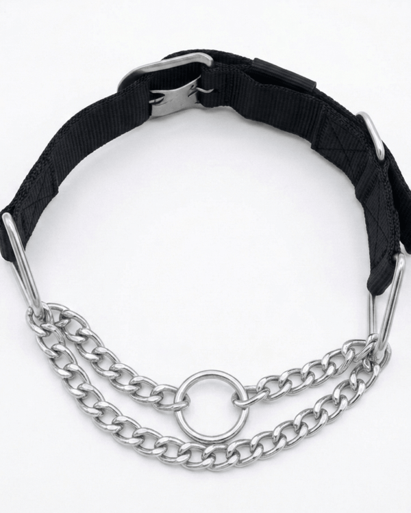Anchor Martingale Collar