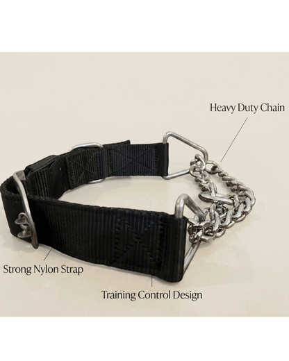 Martingale Dog Collar | Nylon & Chain Training Collar for Dogs — TailSetter - Tailsetter
