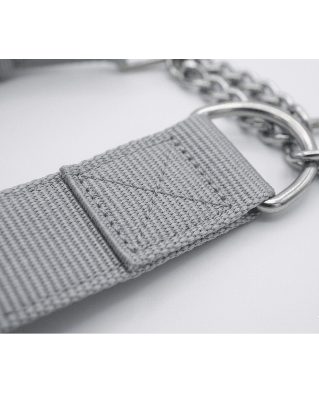 Martingale Dog Collar | Nylon & Chain Training Collar for Dogs — TailSetter - Tailsetter