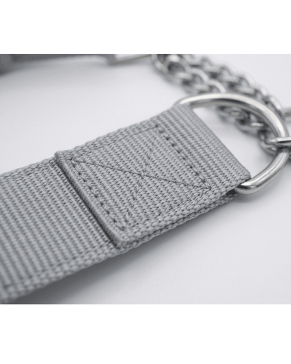 Martingale Dog Collar | Nylon & Chain Training Collar for Dogs — TailSetter - Tailsetter