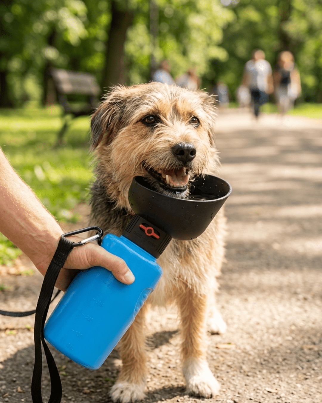Portable Dog Water Bottle with Bowl | 600ml Travel Water Dispenser for Dogs — TailSetter - Tailsetter