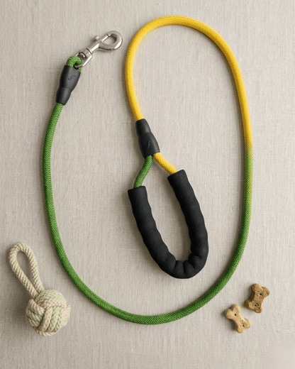 Rope Dog Leash | Padded Handle Braided Leash for Dogs — TailSetter - Tailsetter