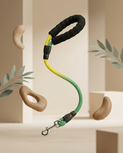 Rope Dog Leash | Padded Handle Braided Leash for Dogs — TailSetter - Tailsetter