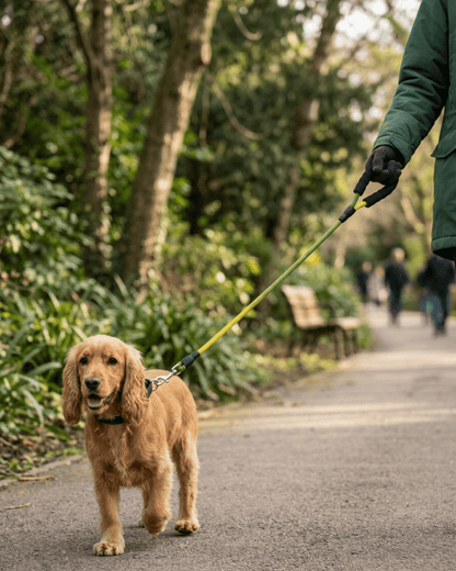 Rope Dog Leash | Padded Handle Braided Leash for Dogs — TailSetter - Tailsetter