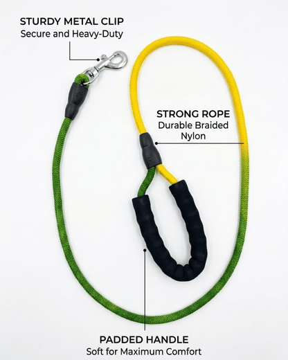 Rope Dog Leash | Padded Handle Braided Leash for Dogs — TailSetter - Tailsetter