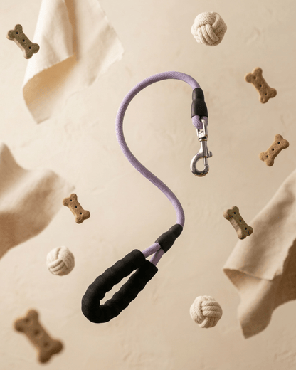 Rope Dog Leash | Padded Handle Braided Leash for Dogs — TailSetter - Tailsetter