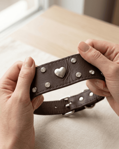Studded Leather Dog Collar | Crystal & Heart Embellished Premium Collar - TailSetter - Tailsetter