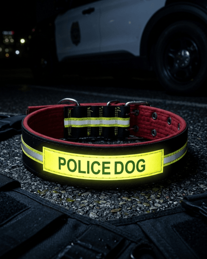Tactical Dog Collar | Padded Heavy - Duty Collar with Reflective Strip & ID Patch — TailSetter - Tailsetter